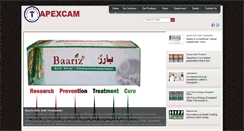 Desktop Screenshot of apexcam.com